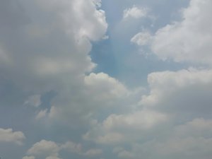 tushar-dutta-K3Xpp1BVkt8-unsplash tushar-dutta-K3Xpp1BVkt8-unsplash